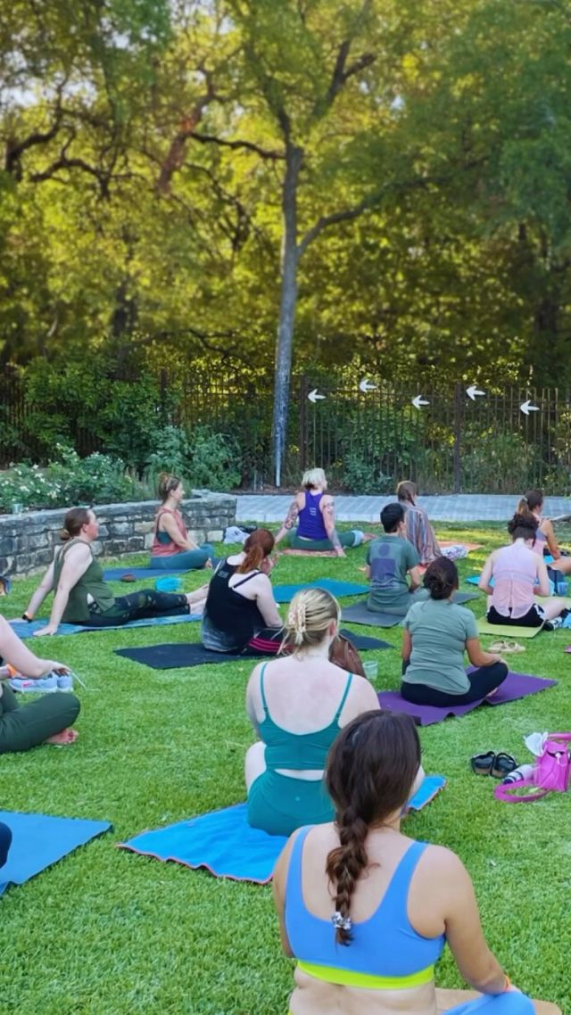🍃 @chfitness is teaming up with @zilkerbotanicalgarden to present August Asanas! Join CHF Yoga instructors Kelly Bach (@creekanimal) and Tiffany Sipos (@tiffsipos) for twice weekly yoga practices at the garden. 🍃  Class is included with admission to Zilker Botanical Garden at no additional cost! Learn more through the link in bio and join us:  August 3-26
Mondays with Tiffany
Saturdays with Kelly
8:30-9:30am